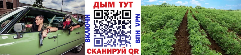 Купить наркоту Динская Амфетамин  Кокаин  Меф  ГАШИШ  Псилоцибиновые грибы  Alpha PVP 