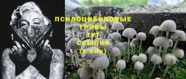 ECSTASY Алексин
