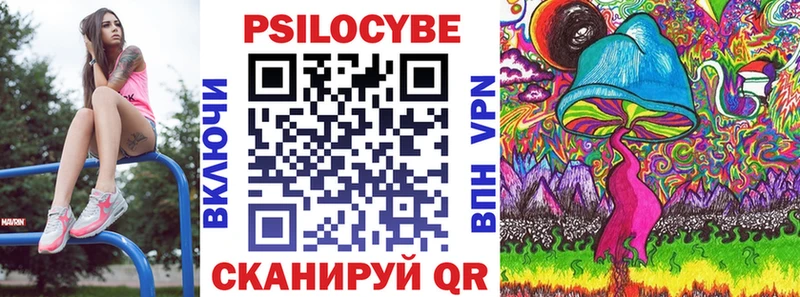 Псилоцибиновые грибы Psilocybe  Динская 
